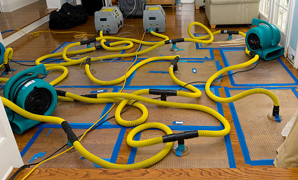 Professional Basement Flood Cleanup technician working in Wynnburg, TN